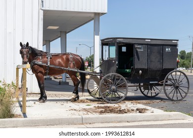 2,043 Horse drawn buggy Images, Stock Photos & Vectors | Shutterstock