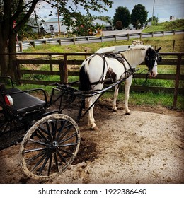 Horse And Buggy In The Ohio Amish Country