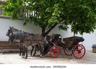 A Horse Cab In Sintra, Portugal