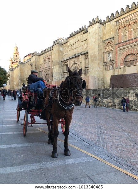 A horse\
car waiting for tourists in front of the Mosque in the Jewish\
quarter, Cordoba, Andalusia, Spain. January\
2018.