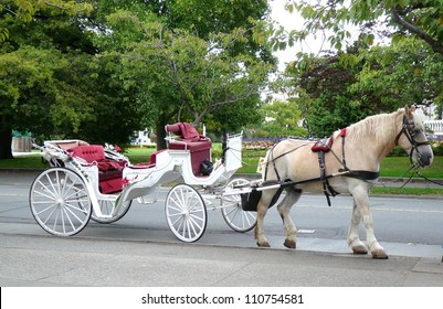 16,611 White horse and carriage Images, Stock Photos & Vectors ...