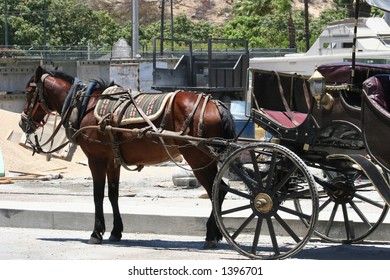 Horse Carriage In Cabo San Lucas