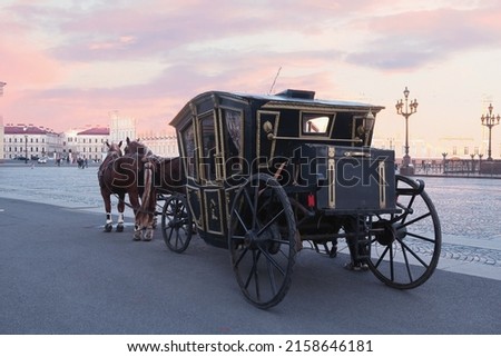 Horse carriage in the city center