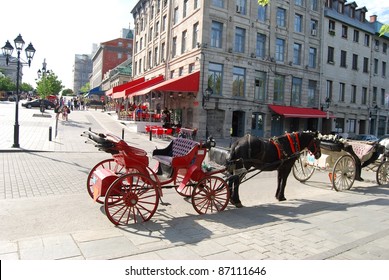 Horse Carriage In Montreal, Canada