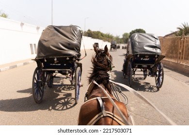 Horse carriage in a road of Edfu City