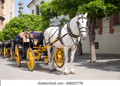 Horse And Carriage In Seville, Spain