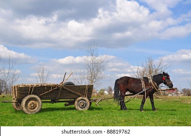 Horse  With A Cart