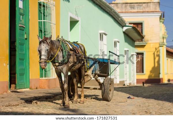 Horse and a cart\
on a street in Trinidad,\
Cuba