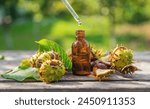 Horse chestnut extract in a bottle. selective focus. nature.