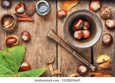 Horse Chestnut Oil Extract In Herbal Medicine.