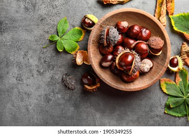 Horse chestnuts and leaves on grey table, flat lay. Space for text