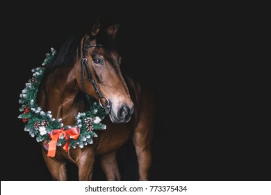 Horse In A Christmas Wreath