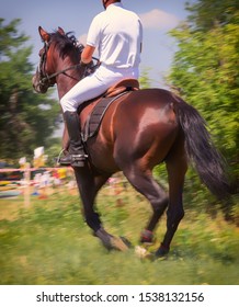 Horse Close Up With Unknown Rider Under Leather Saddle. People Riding Part Of Riding A Horse, Equestrian Sport Selective Focus, Soft Focus Background