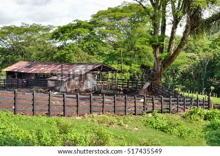 Horse and cow barn near Matagalpa on the way to Pita village, in the northern highlands of Nicaragua