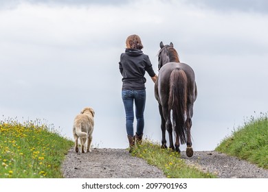 horse and dog team: Backside of a woman with her pony and dog
