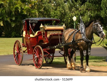 Horse drawn Carriage