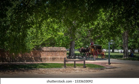 Horse Drawn Carriage Driven By Man In Colonial Costume Traveling Down Williamsburg Road