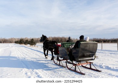 Horse Drawn Carriage Pulls Couple on a Romantic Sleigh Ride in the Winter Snow during Date Night
