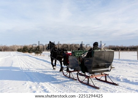 Horse Drawn Carriage Pulls Couple on a Romantic Sleigh Ride in the Winter Snow during Date Night
