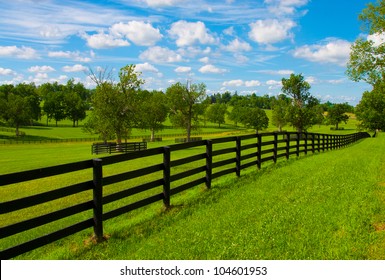 69,436 Horse and fence Images, Stock Photos & Vectors | Shutterstock