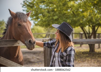 Horse Farm Concept, Hobby -  Rider. Woman Talk With A Horse, Eco Tourism 