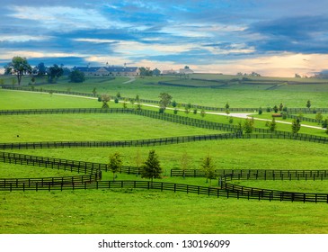 Horse Farm In Kentucky