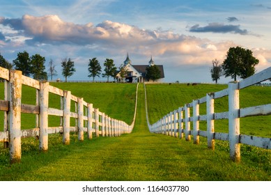 Horse Farm, Kentucky Bluegrass