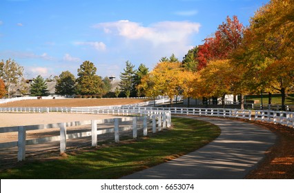 Horse Farm With White Fences In Fall Colors