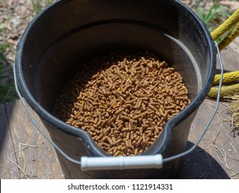 Horse Feed In A Bucket