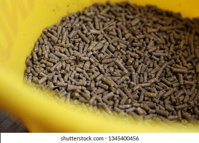 Horse Feed In A Bucket