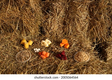 Horse feed. Fruits and vegetables laying on a hay. Treats for horses