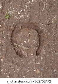 Horse Foot In Dirty Ground