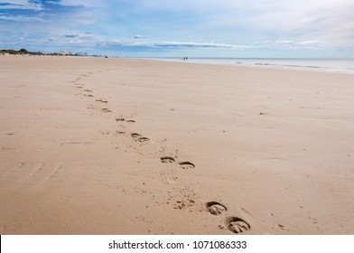 Horse Footprint Along The Beach With Blue Sky Background.