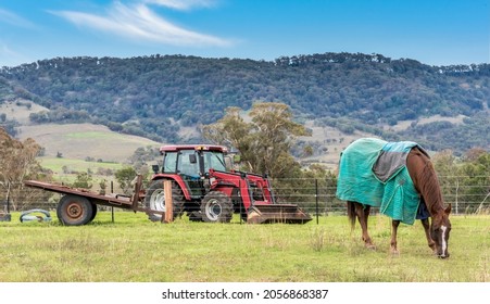 A horse in front of a tractor on a farm.