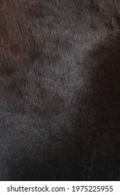 Horse Fur Texture Closeup Vertical. Brown Pile Textured. Horse Hair Pattern For Design.