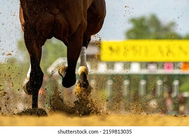 A horse gallops past, kicking up dirt