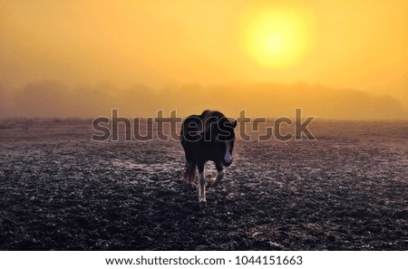 Similar – Image, Stock Photo October meadow Environment