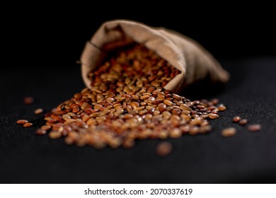 Horse Gram Close Up Shots