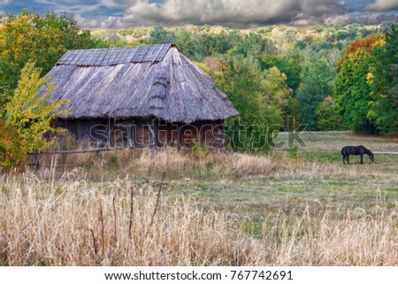 Horse grazes on background of the old house Ukrainian peasant. Animals