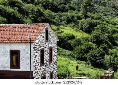 Horse grazing in the countryside, in a place on the Spanish Galician coast in the province of La Coruña, Spain - Powered by Shutterstock