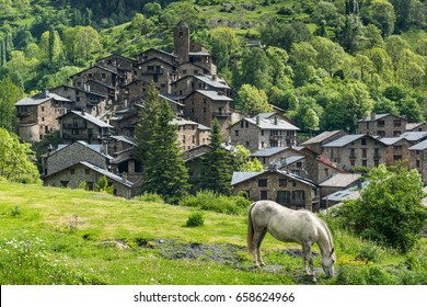 Horse Grazing In Front Of Pyrenees Village In Andorra.