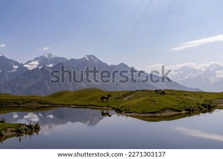 A horse grazing at the Koruldi Lake with a dream like view on the mountain range near Mestia in the Greater Caucasus Mountain Range, Upper Svaneti, Country of Georgia. Wildlife observation.