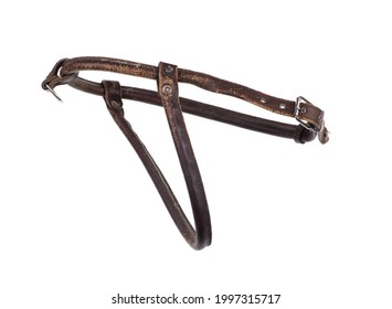 Horse harness bridle for riding isolated on white background