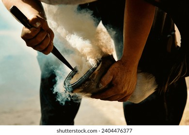 Horse having a hot shoe fitted by a farrier- close up - Powered by Shutterstock