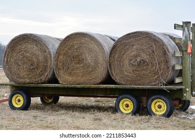 Horse Hay Feed On A Farm Wagon