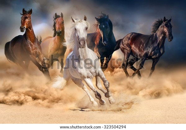 Horse herd run in desert sand storm against dramatic sky.