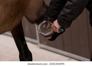 Horse hoof care clean and brush closeup. Mid Hispanic woman blacksmith horseshoe holding in stable - Powered by Shutterstock