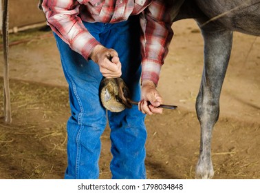 Horse hoof trim, farrier concept on farm or ranch for animal care.