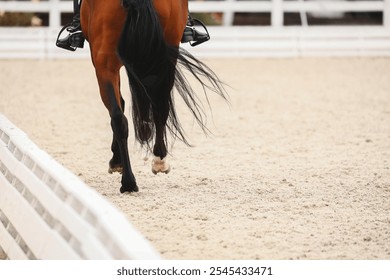 Horse hooves close-up when does the gallop. Shooting from the back close-up - Powered by Shutterstock