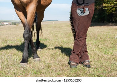 Horse Human Legs Cross Legs Together Stock Photo 1253108203 | Shutterstock